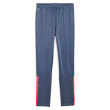 Puma Jnr teamLIGA Training Pant Blue