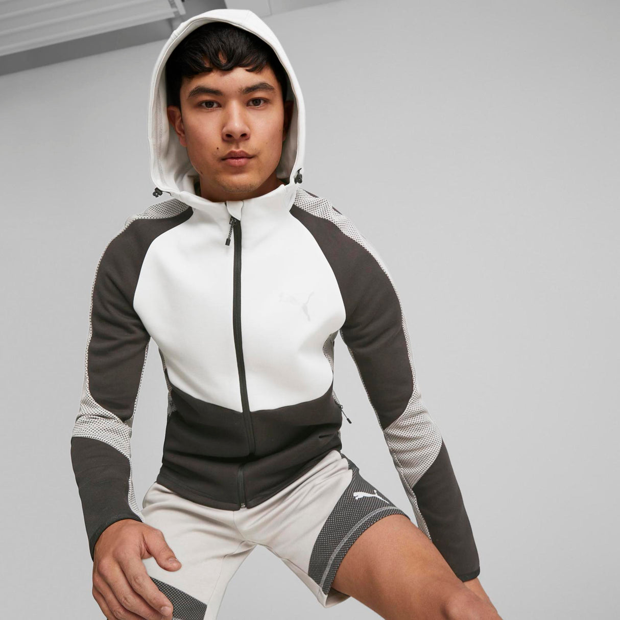 Puma Mens Evostripe FZ Hoodie DK Grey