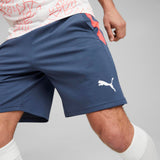 Puma Mens teamLIGA Training Shorts 2 Blu