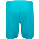 Castore FAI 23 Away GK Kids Short Blue