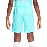Nike FCB 23 Kids 3rd Short  Blue