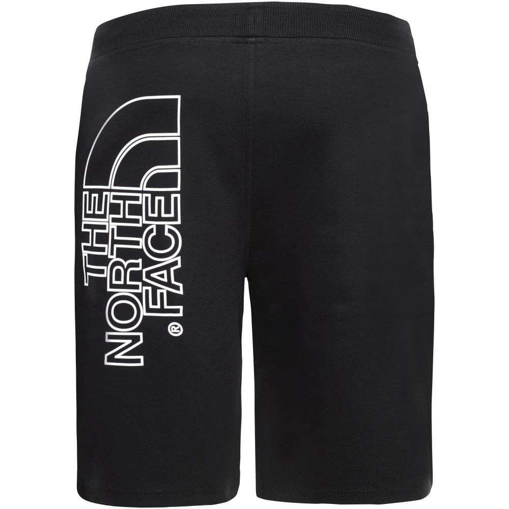 TNF Graphic Mens Short Light Black