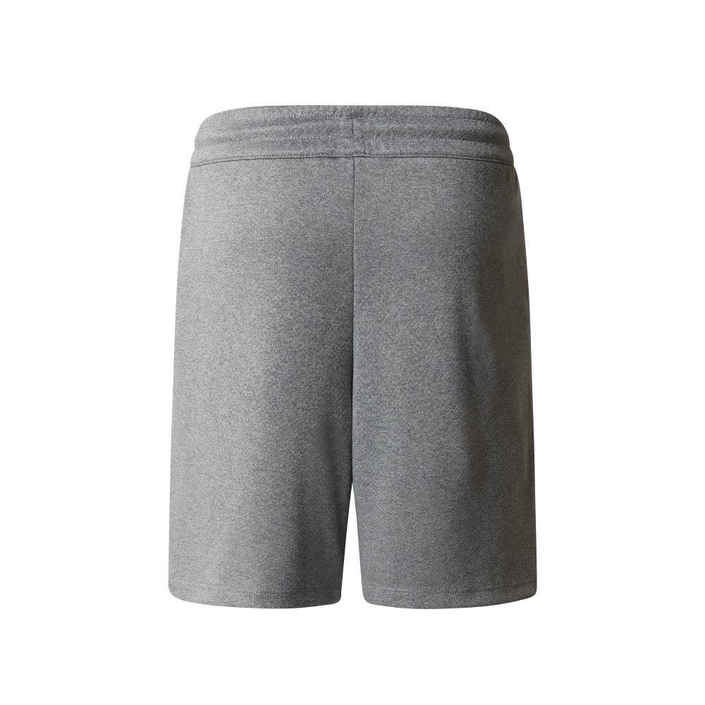 The North Face Never Stop Boys Short Gry