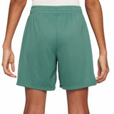 Nike Boys DF HBR Multi Shorts Green