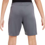 Nike Boys DF STRK 24 Shorts Grey