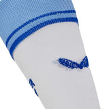 Castore Leinster 24 Away Socks White