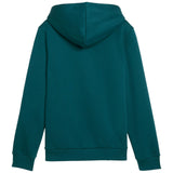 Puma Ess 2 Big Logo FL Boys Hoodie Green