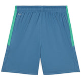 Puma Neymar Jr BNA Boys Shorts 2.0 Blue