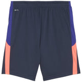 Puma Individual Liga Trn Boys Shorts Nvy