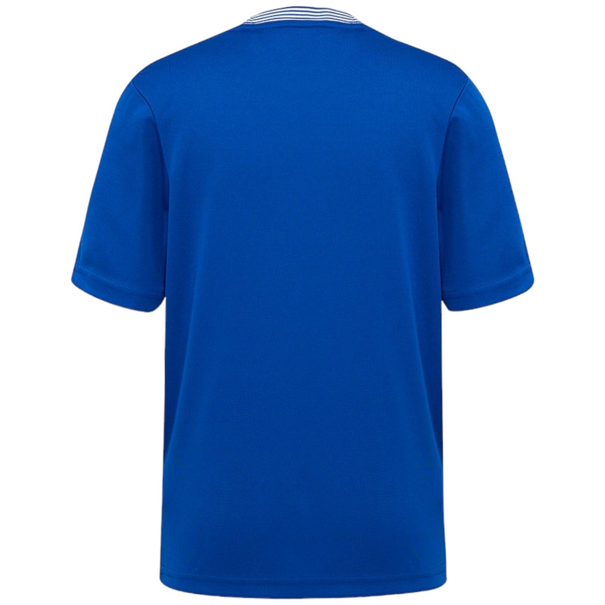 Castore Everton 24 Kids Home Jersey Blue