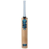 GM Diamond 22 Kashmir Willow Crckt Bat