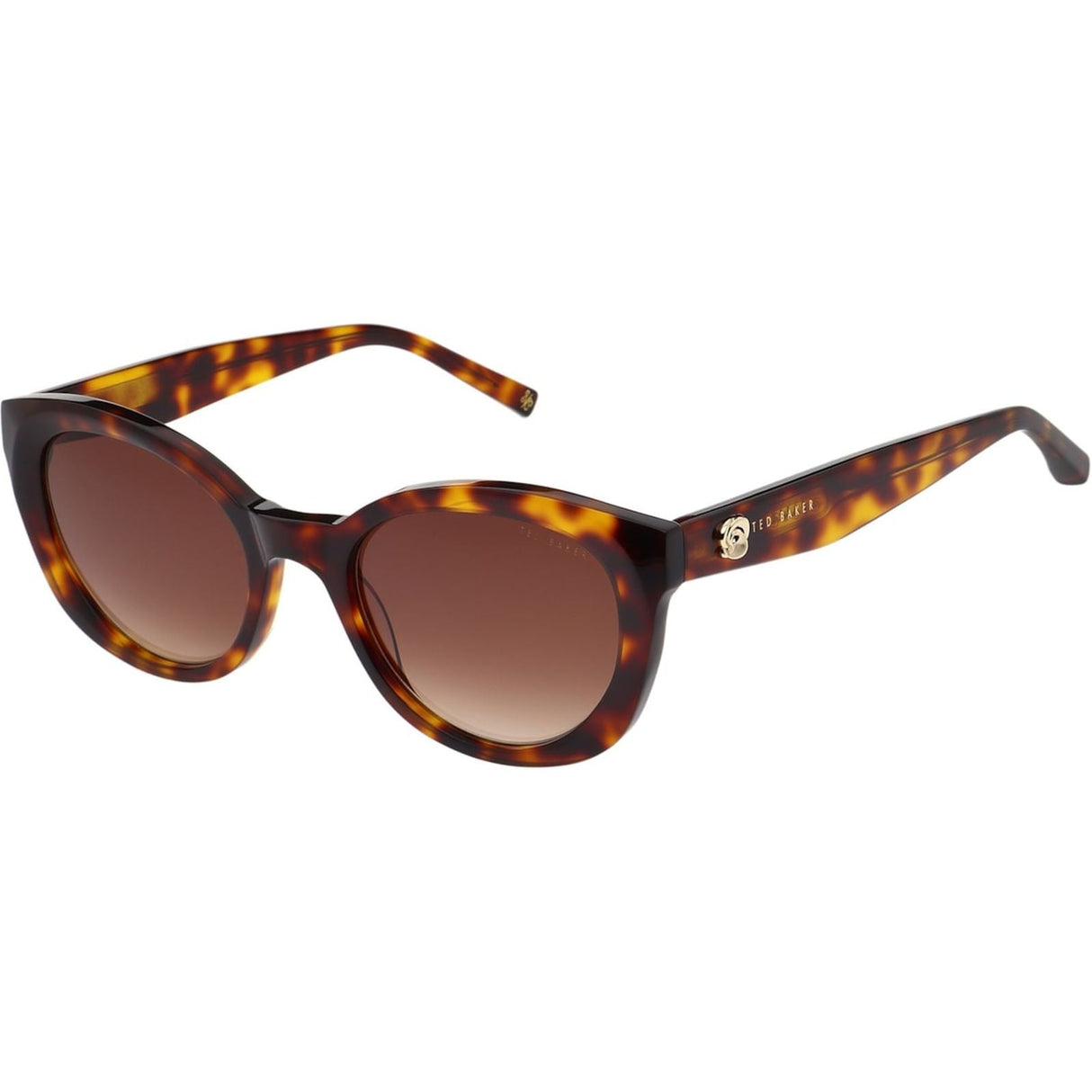 Ted Baker Unisex Daliah Sunglasses Classic Tort