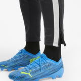Puma Mens teamLIGA Training Pant Black