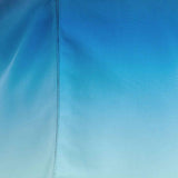 Firefly Yanu M Short Blue