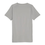 Puma Mens Evostripe Tee Grey