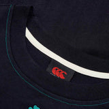 Canterbury IRFU 24 Team Cotton Tee Black