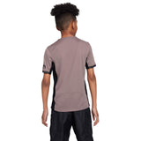 Nike THFC 23 Kids 3rd Jersey Grey