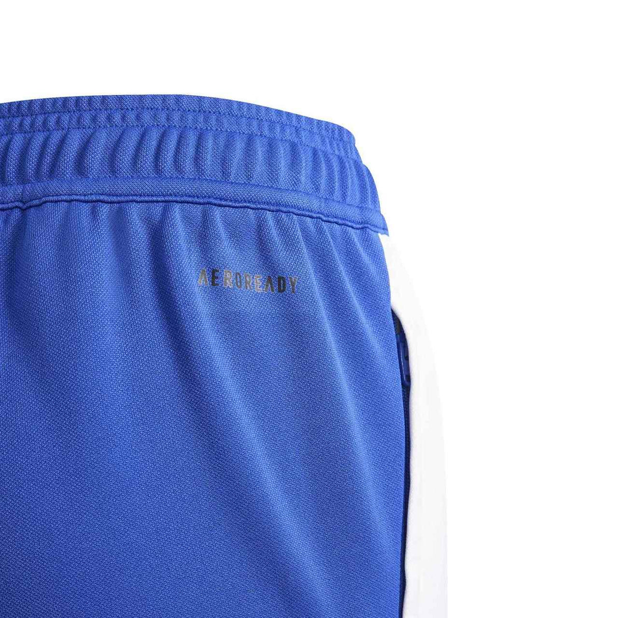 adidas Boys Messi Pant Blue