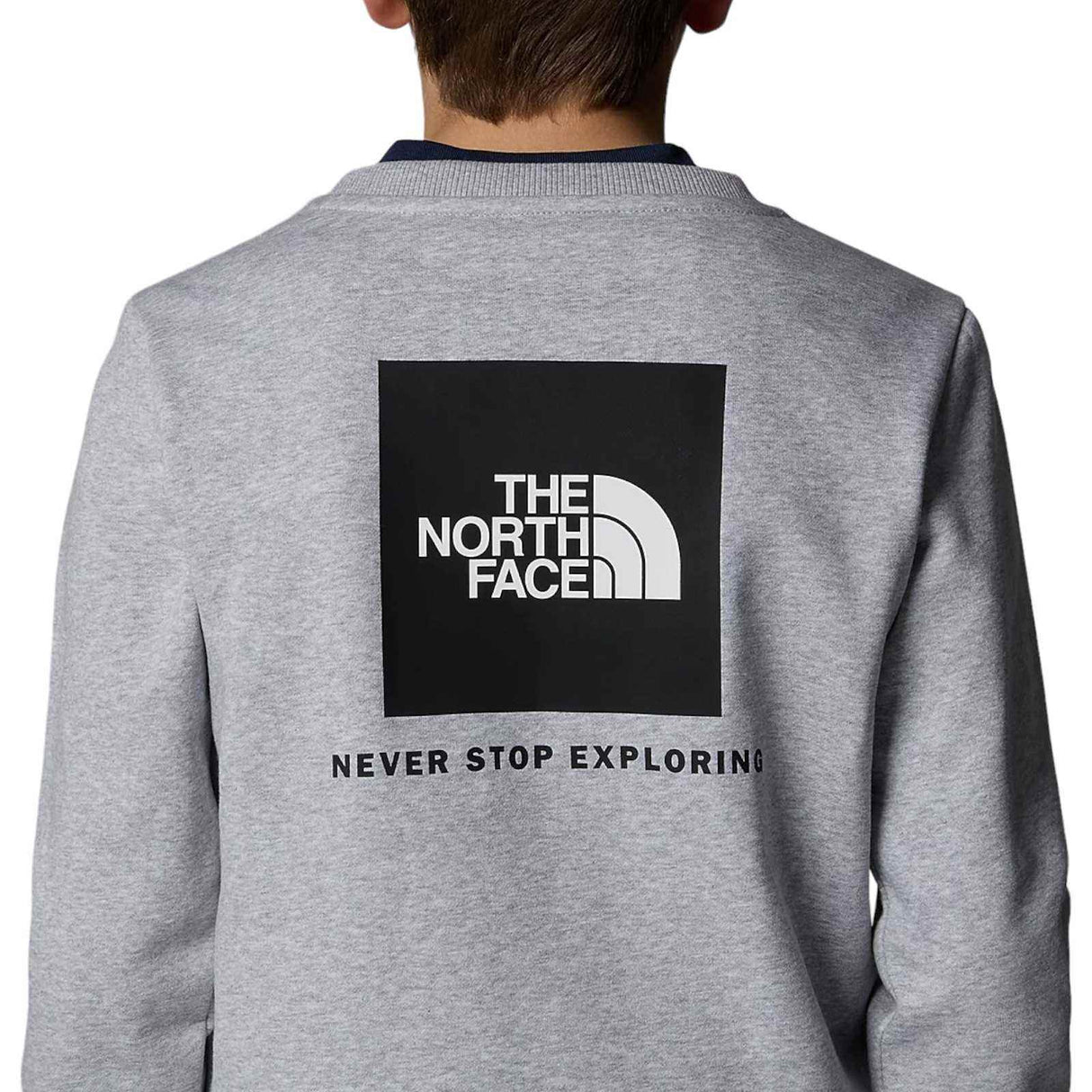 The Northface TEEN REDBOX REGULAR CRE Gy
