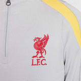 Nike LFC 24 3rd Kids Strike Drill Top Gy