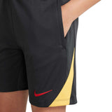 Nike LFC 24 3rd Kids Strike Short Grey