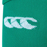 Canterbury IRFU 24 Home Socks Green