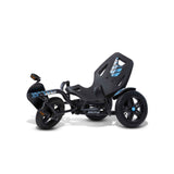 BERG Street-X Vibes Go-Kart
