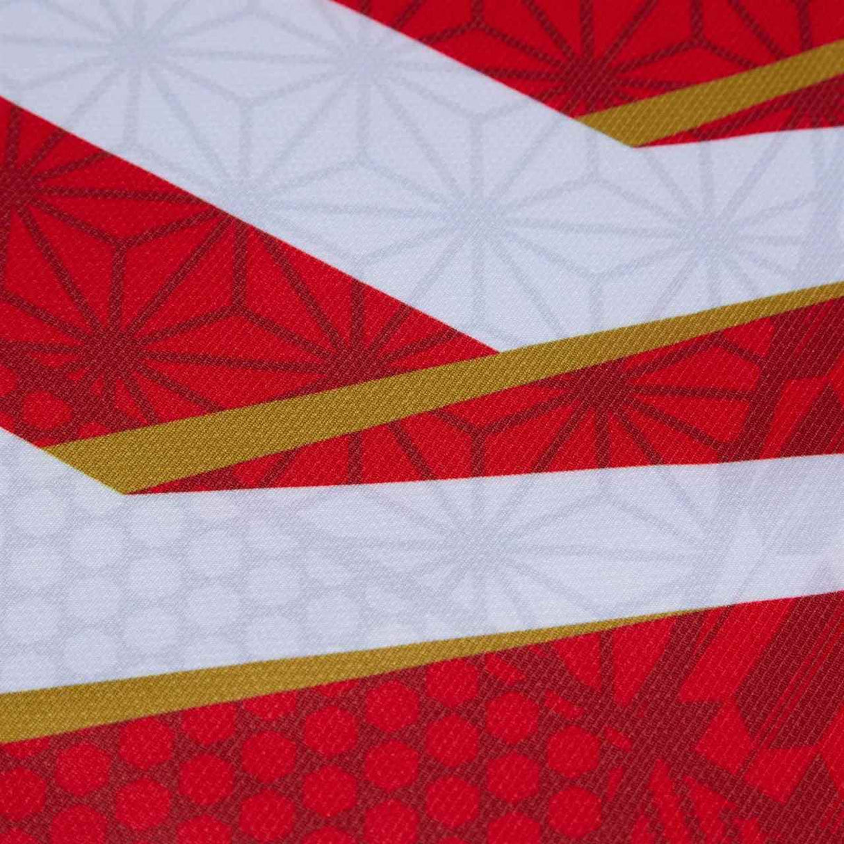CCC Japan Home Pro RWC23 Jersey Red