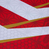 CCC Japan Home Pro RWC23 Jersey Red