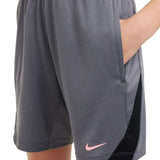 Nike Boys DF STRK 24 Shorts Grey