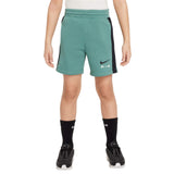 Nike Boys NSW N AIR Fleece Shorts Green