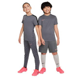 Nike Boys DF ACD 23 BR SS Top Grey