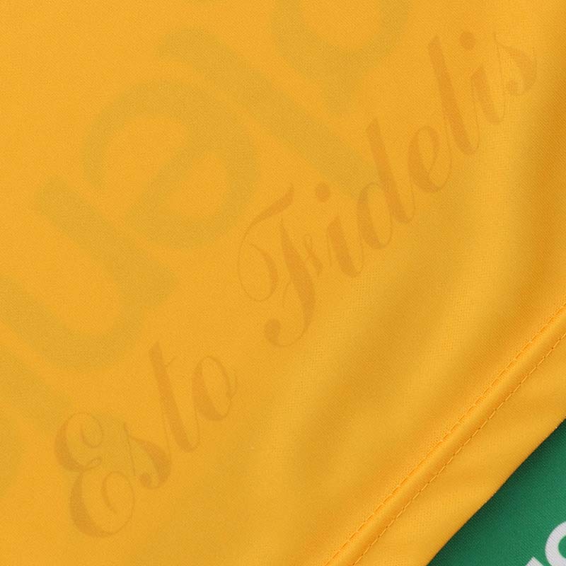 O'Neills Offaly 24 Home Jersey Green