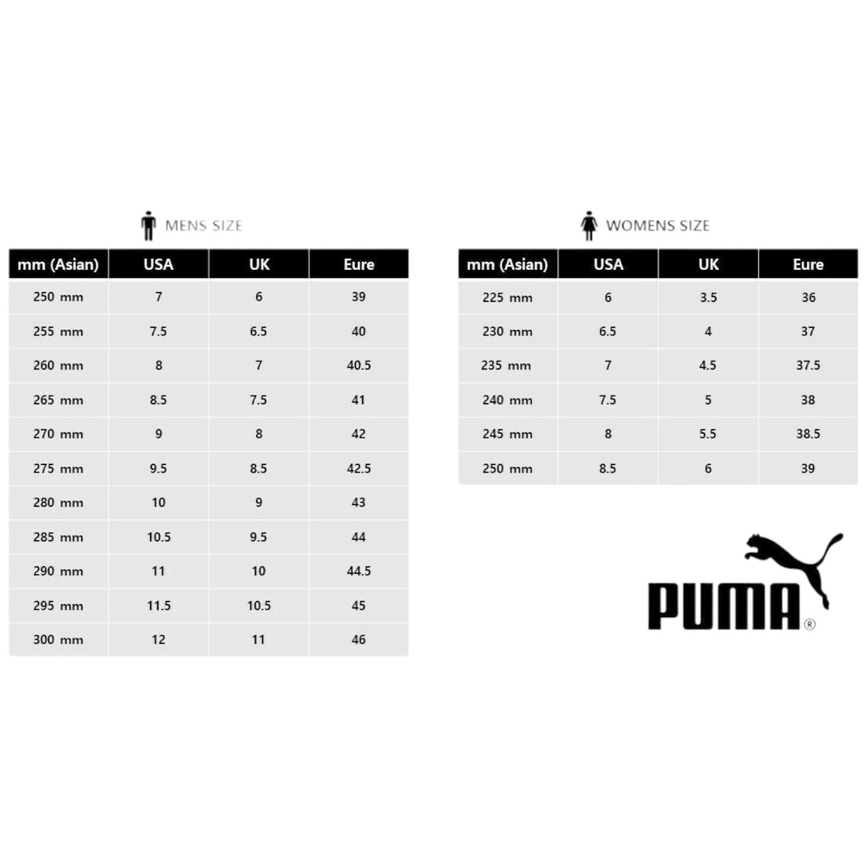 Puma Darter Pro WHITE