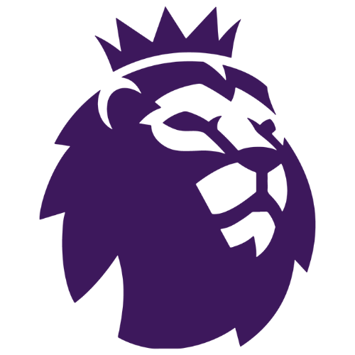 Premier League Sleeve Badge - Adults
